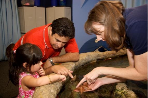 Educator shows a young girl and her dad a sea star in a classroom