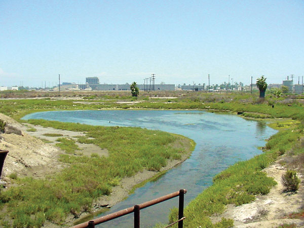 los-cerritos-wetlands.jpg