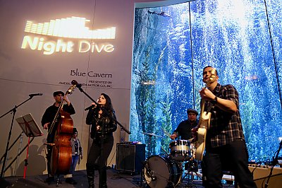 Band playing Main Stage at Night Dive in front of Bubble Curtain - thumbnail
