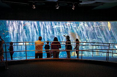 large exhibit window with people in front - thumbnail