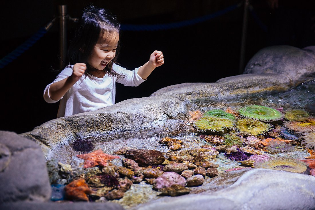 happy child at touch tank