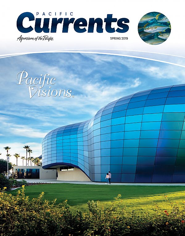 Pacific Currents Spring 2019 cover