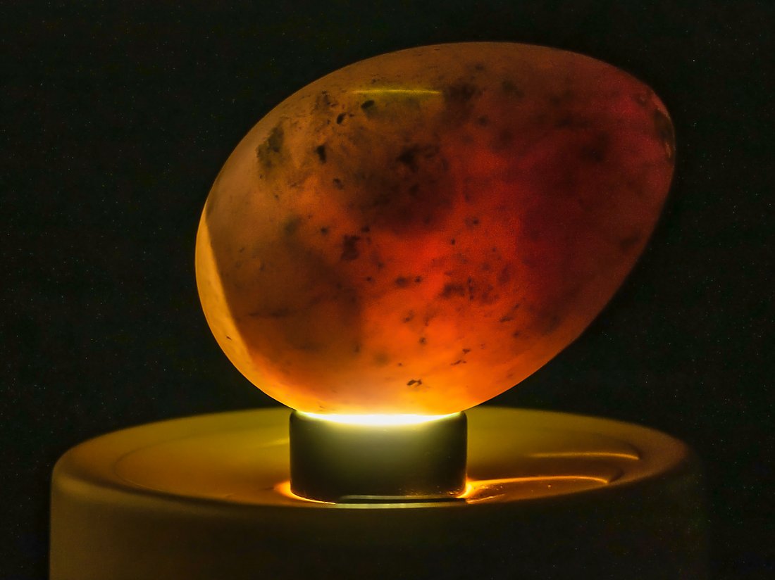 Penguin egg on pedestal with light showing through it. This is candling.