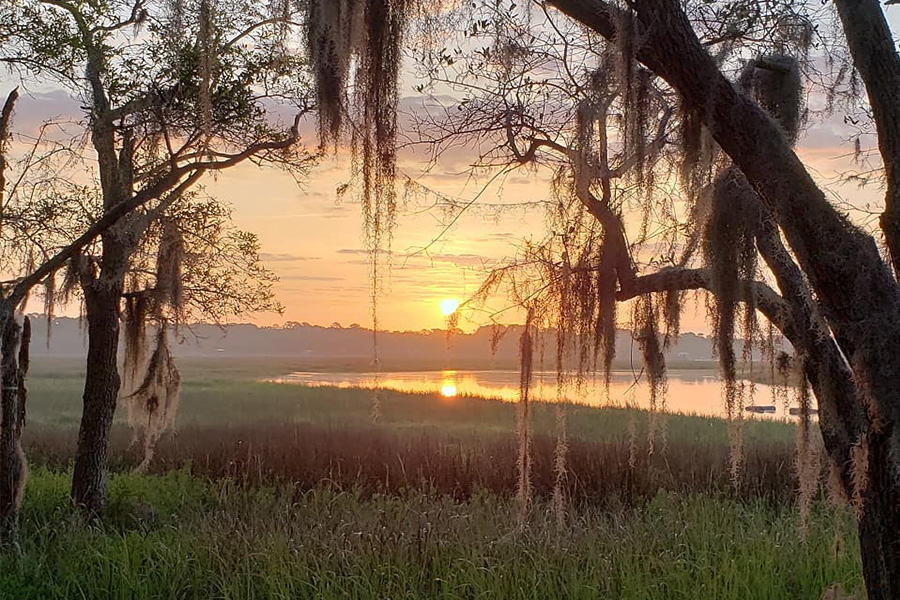 Beautiful sunrise over South Carolina wetland with oaks and Spanish moss in foreground. 900x600